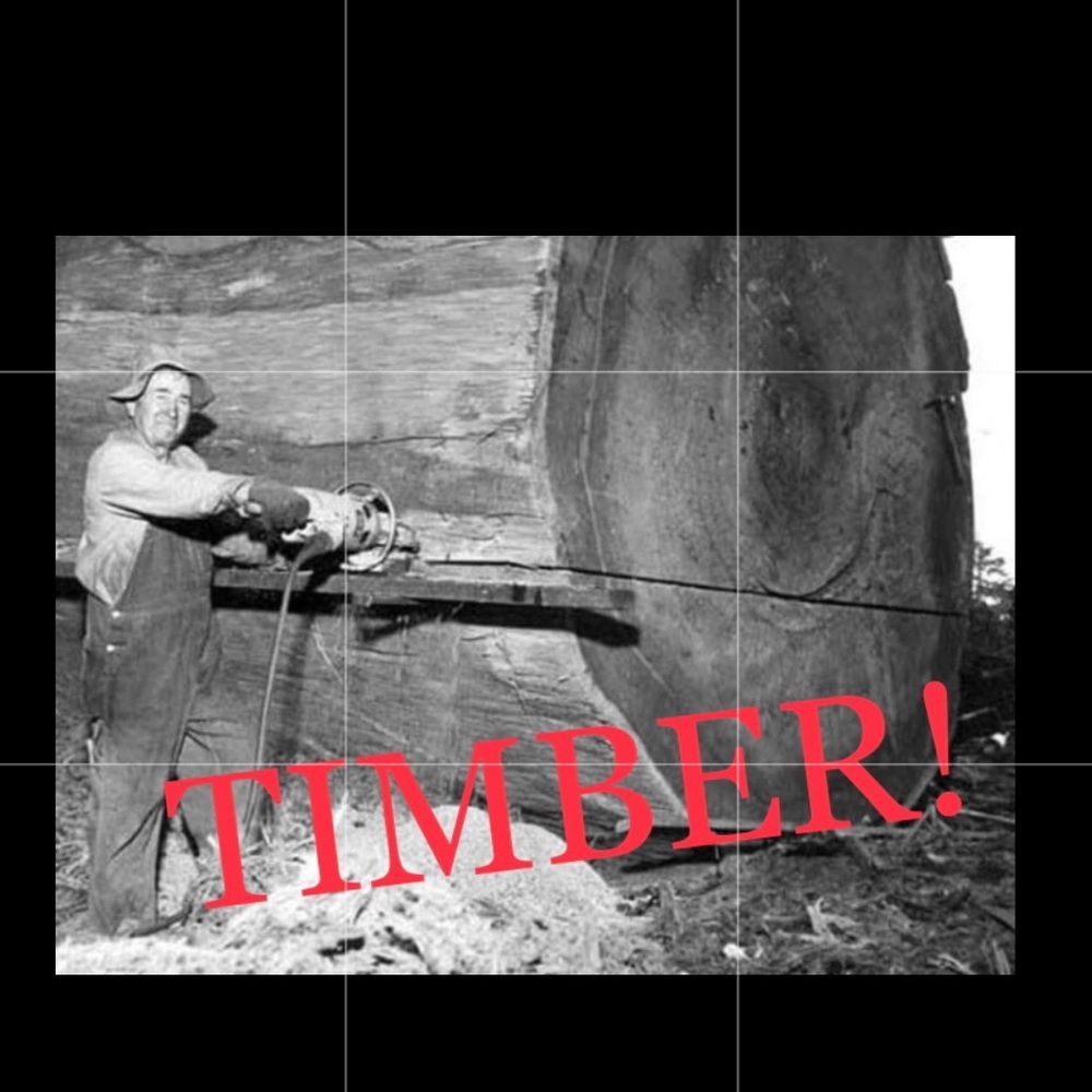 IT’S GOING DOWN! I’M YELLING TIMBER!